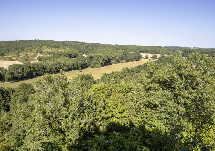 sale Château Angouleme