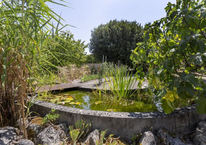 sale Corps de ferme Cognac