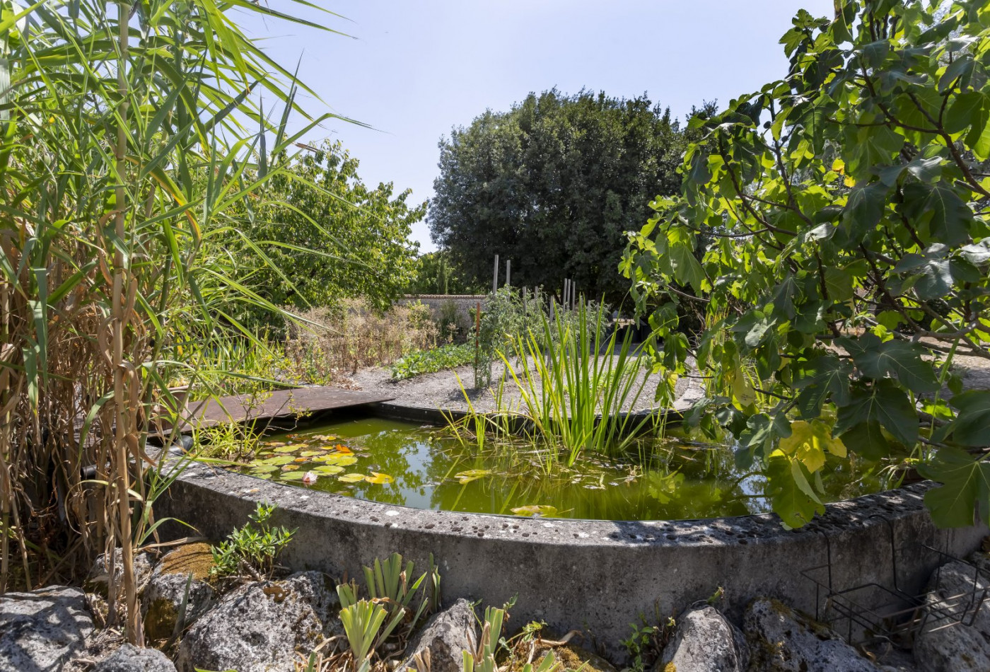 vente Corps de ferme Cognac - Photo 8