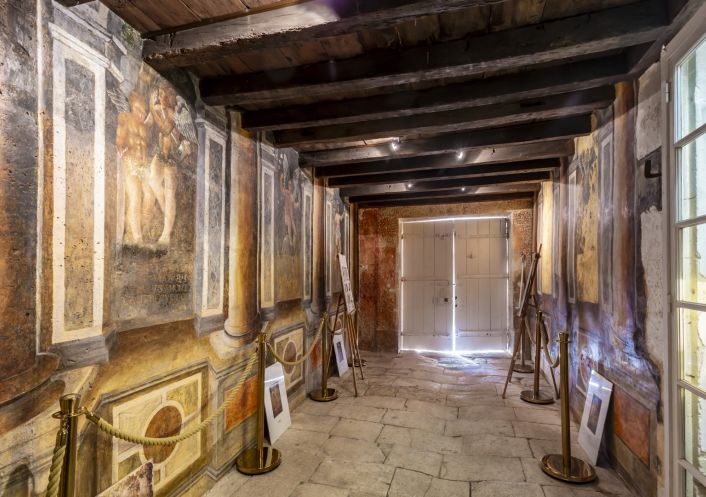 vente Château Angouleme
