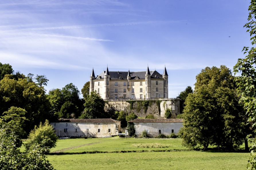 vente Château Angouleme - Photo 5