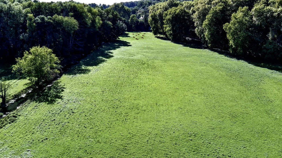 vente Château Angouleme - Photo 9