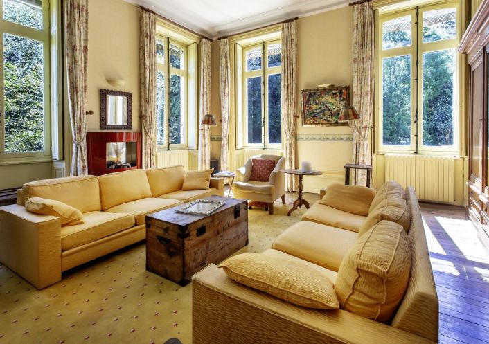 à vendre Château Cognac
