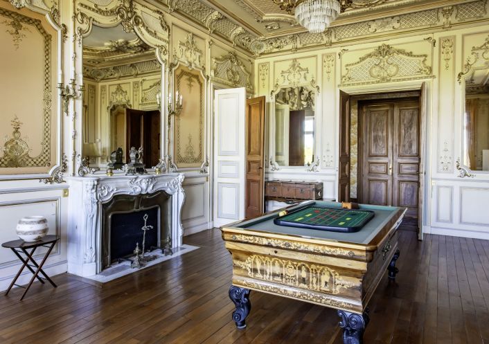 à vendre Château Cognac