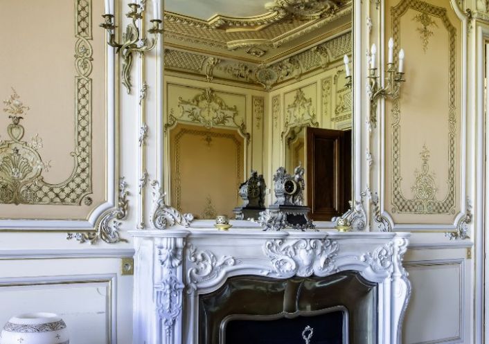 à vendre Château Cognac