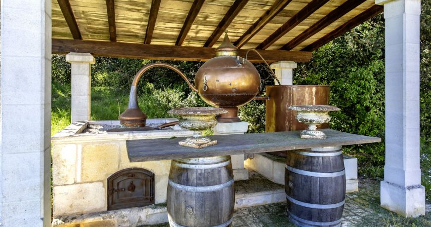 vente Château Cognac