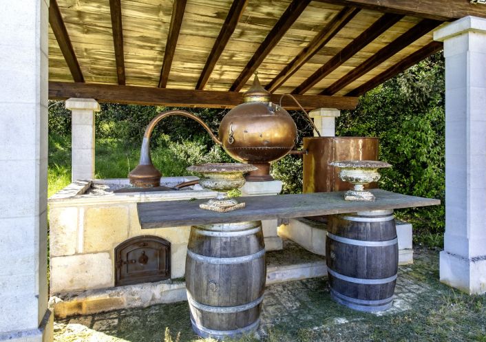 à vendre Château Cognac
