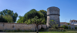 vente Maison bourgeoise Jarnac