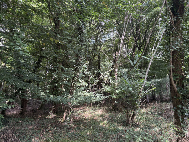 sale Maison Genouille - Photo 17