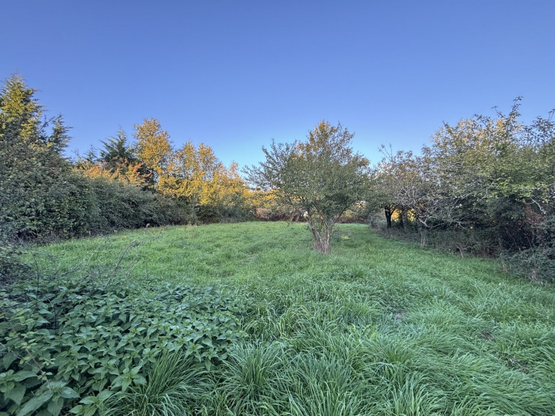 vente Maison Saint Gourson - Photo 10