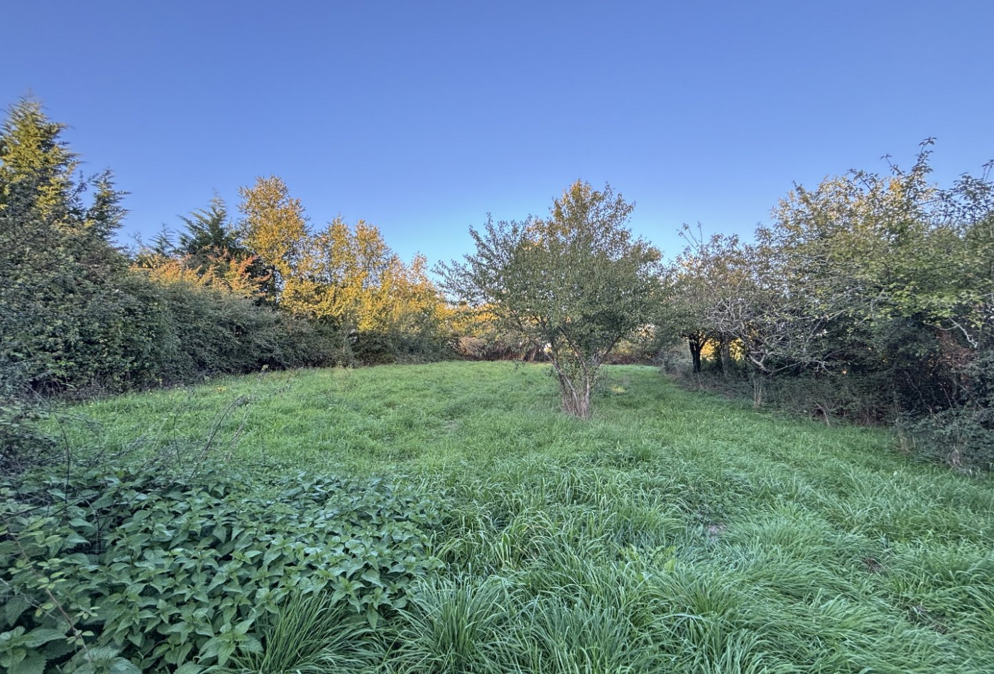 vente Maison Saint Gourson - Photo 10