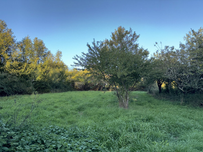 vente Maison Saint Gourson - Photo 7