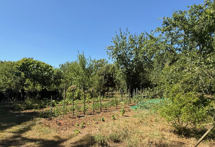 sale Maison de caractère Saint Coutant - Photo 13