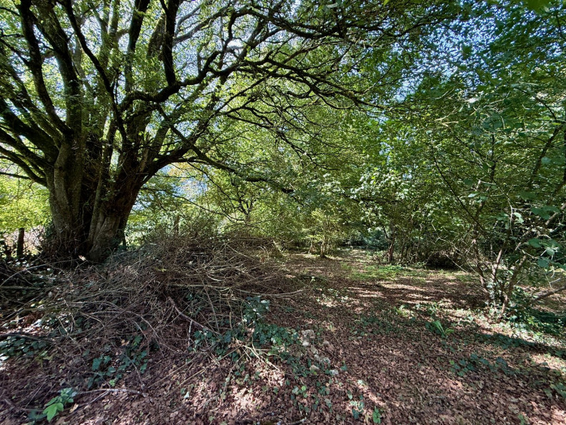 vente Maison Saint Coutant - Photo 16