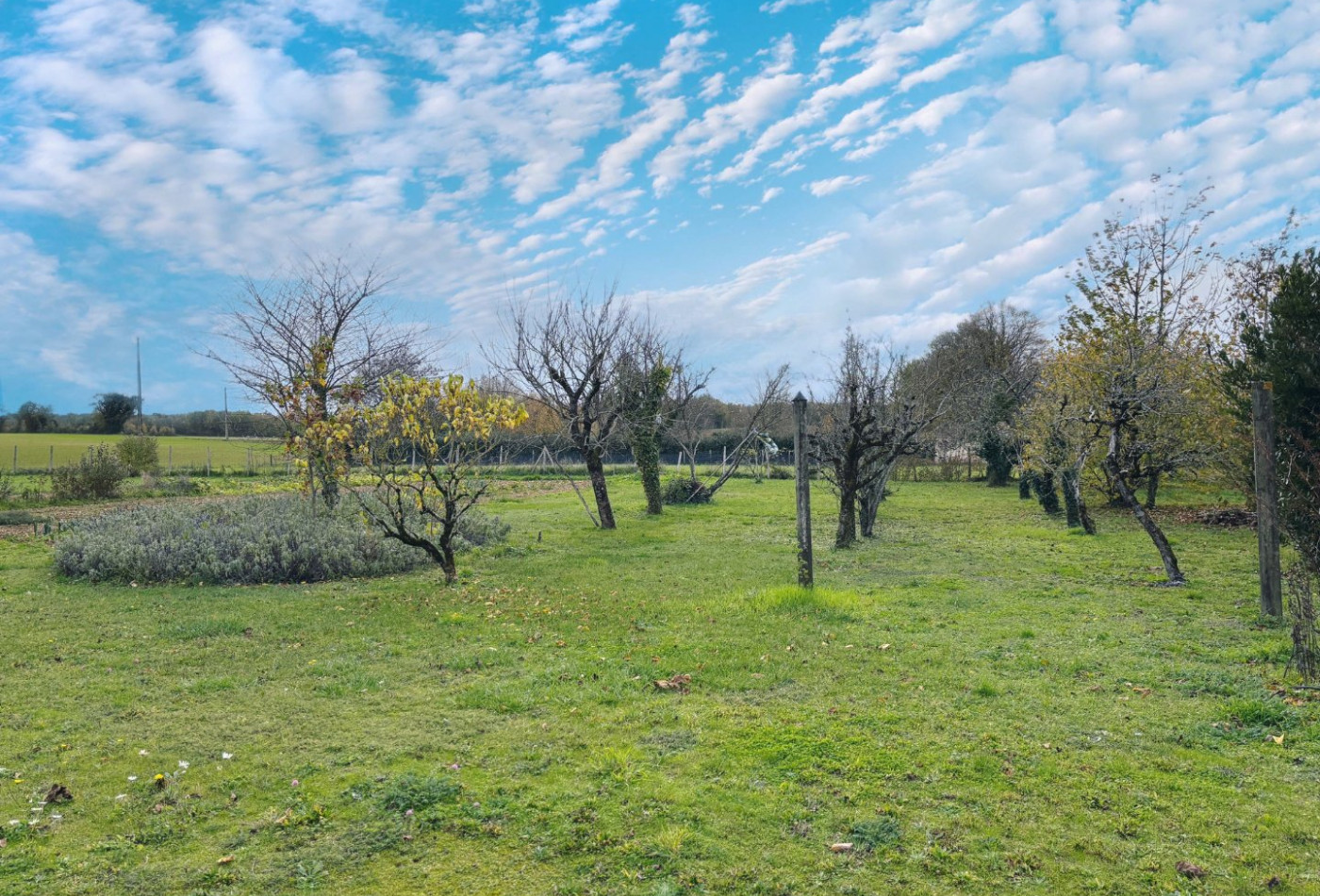 vente Maison La Magdeleine - Photo 4