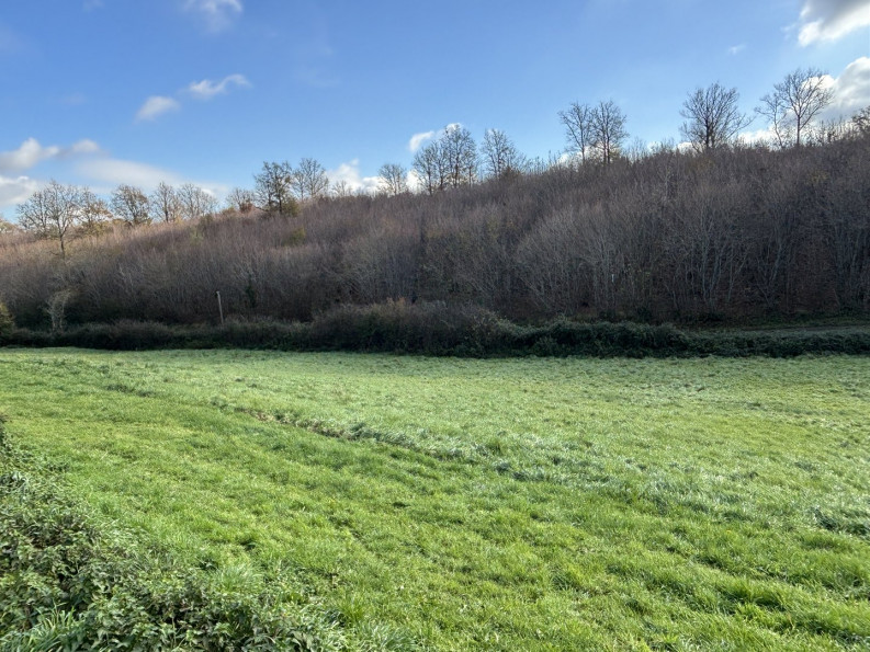 vente Maison Chatain - Photo 15