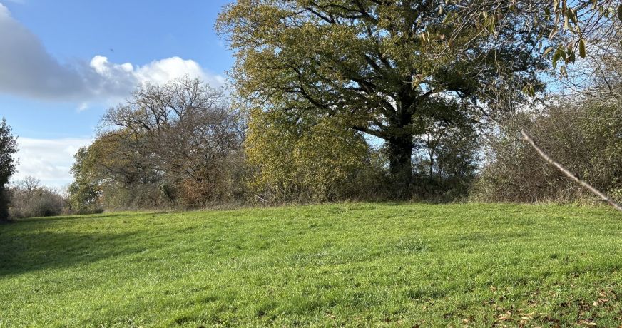 vente Maison Chatain