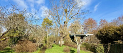 vente Maison Lezay
