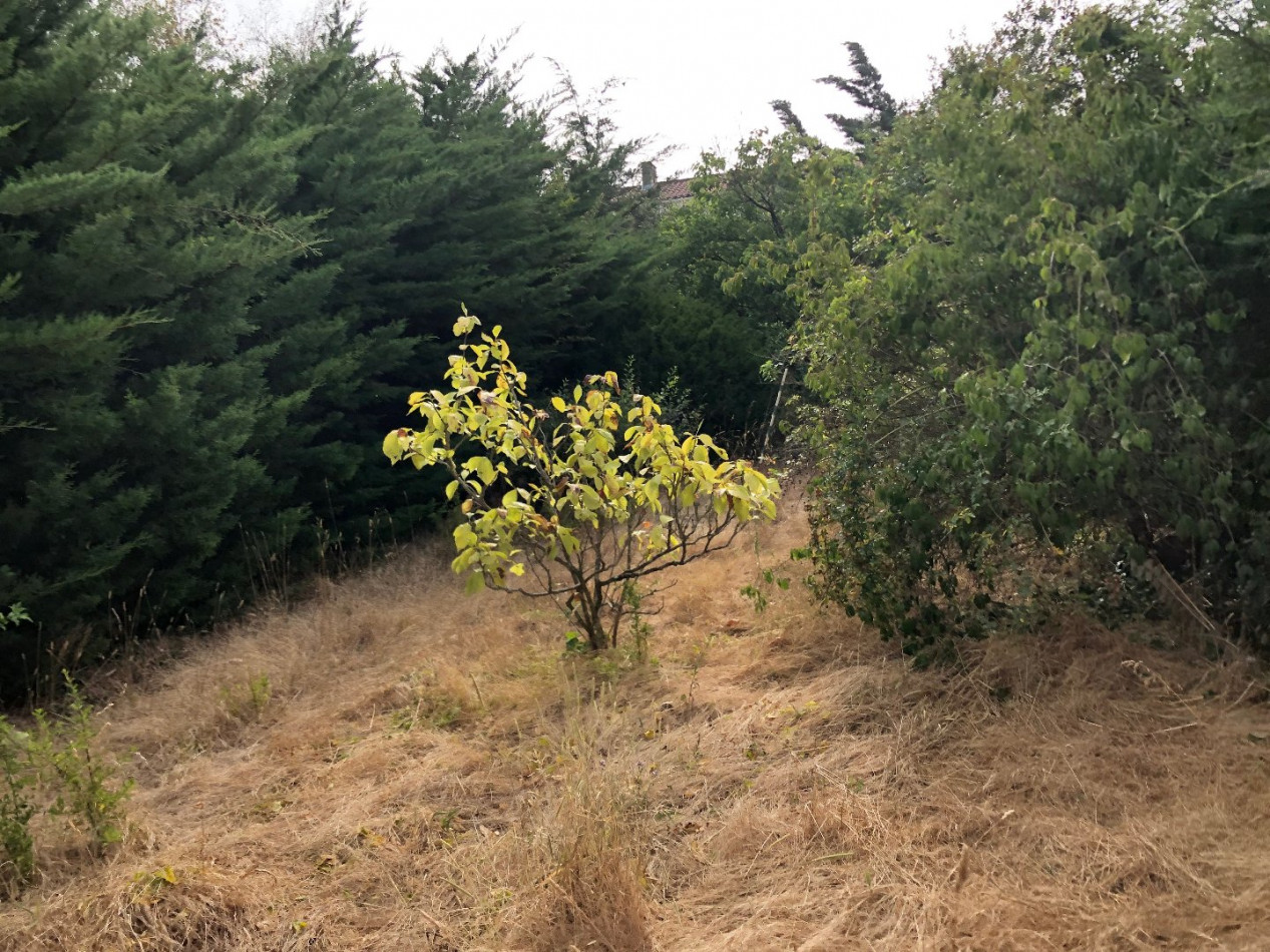 vente Maison La Rochelle - Photo 2