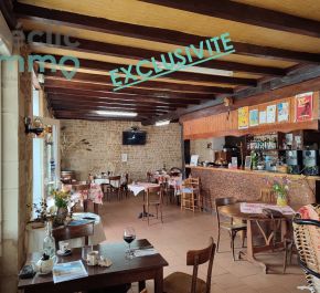 vente Saint Hilaire De Villefranche
