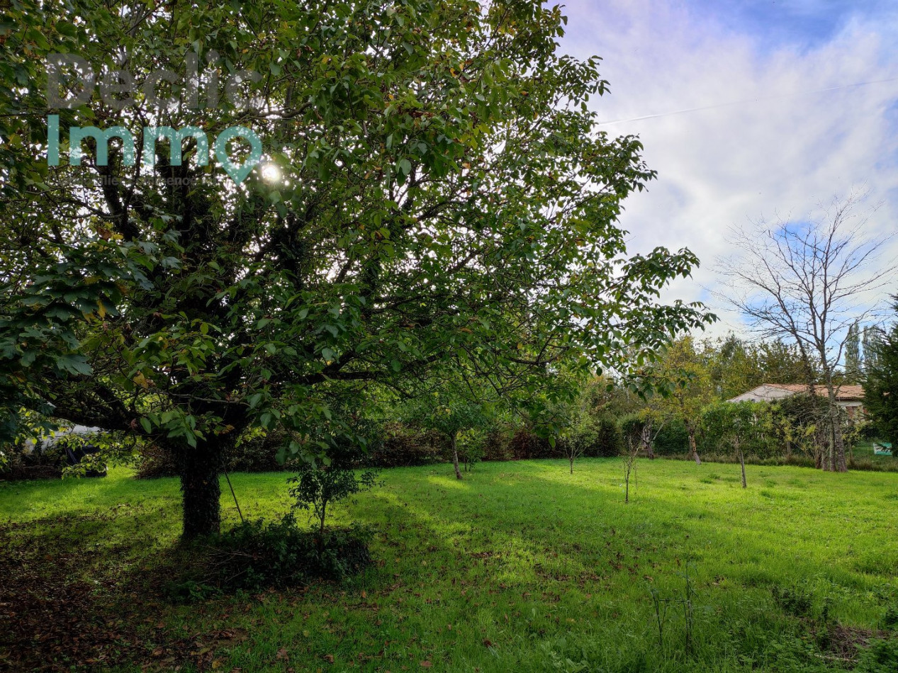 vente Terrain Ecoyeux - Photo 1