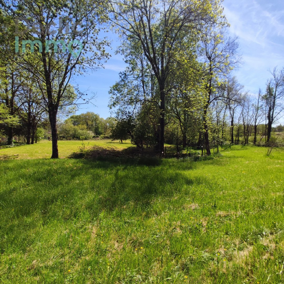 vente Maison Nantille - Photo 3