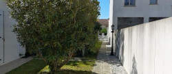 vente Maison de ville La Rochelle