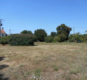 A vendre Saint Sulpice D Arnoult 170063089 Déclic immo 17