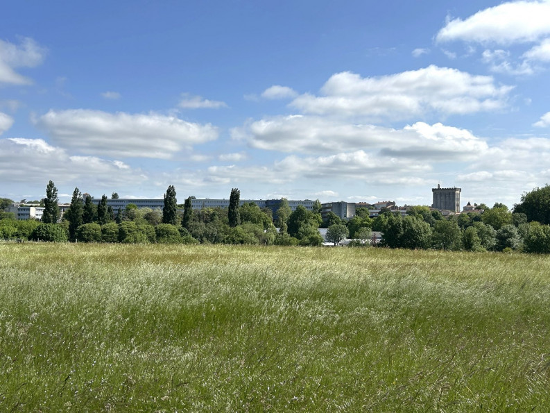 vente Maison Pons - Photo 6