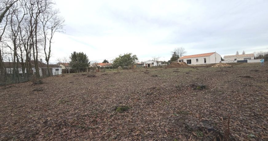 vente Terrain Tesson