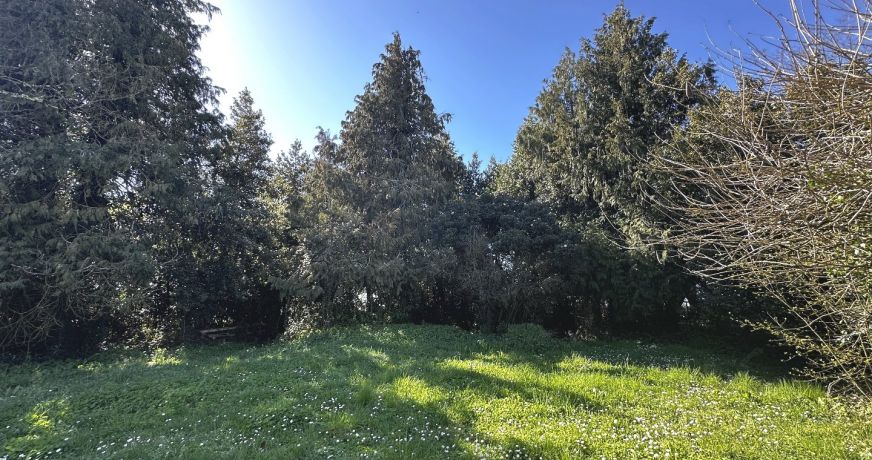 vente Maison Champagnolles