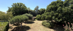 vente Maison Champagnolles