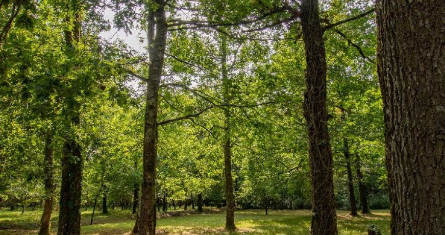 vente Maison Saint Sulpice De Royan