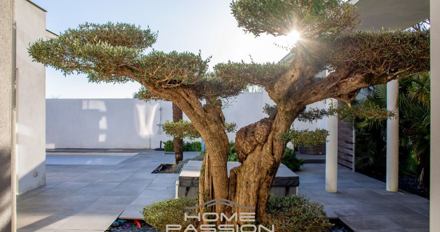 vente Maison Saint Palais Sur Mer