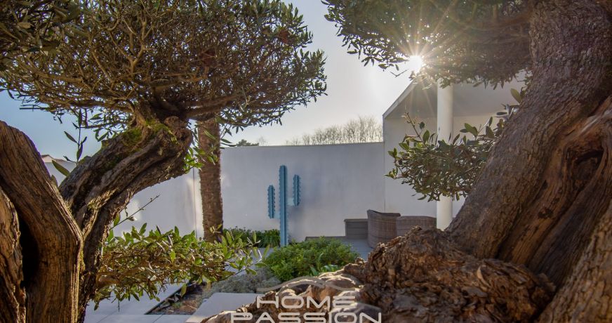 vente Maison Saint Palais Sur Mer