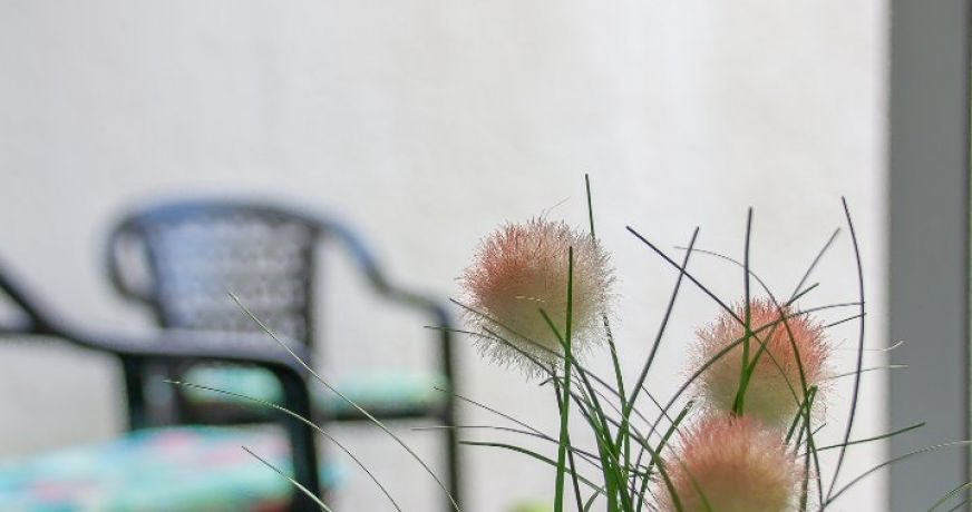 vente Appartement Royan