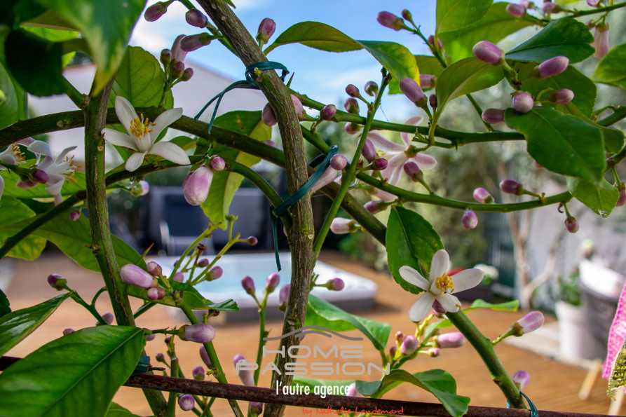 vente Maison Breuillet - Photo 3