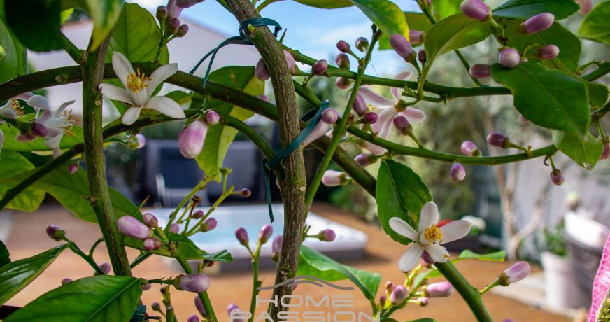 vente Maison Breuillet