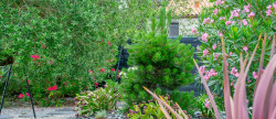 vente Maison Saujon