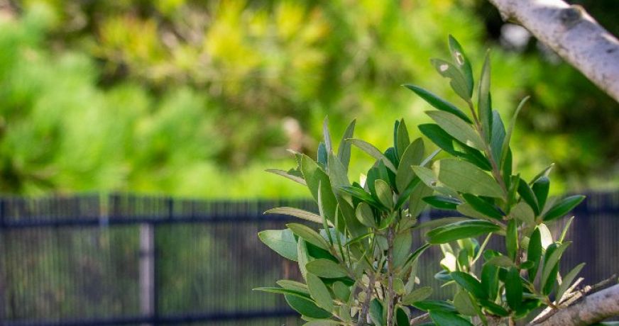 vente Appartement Royan