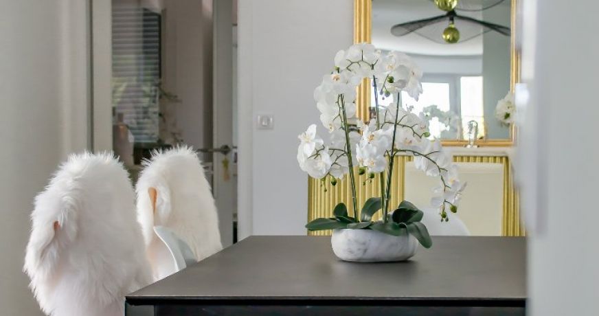 vente Appartement Royan