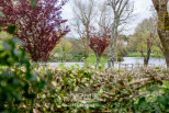 vente Maison Royan