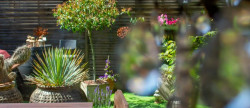 vente Maison Vaux Sur Mer