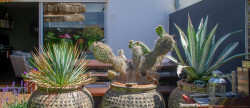 vente Maison Vaux Sur Mer