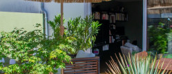 vente Maison Vaux Sur Mer