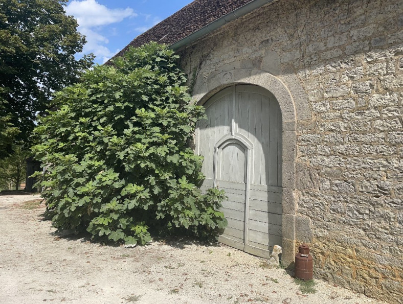 vente Maison de maître La Chapelle Aux Saints - Photo 10