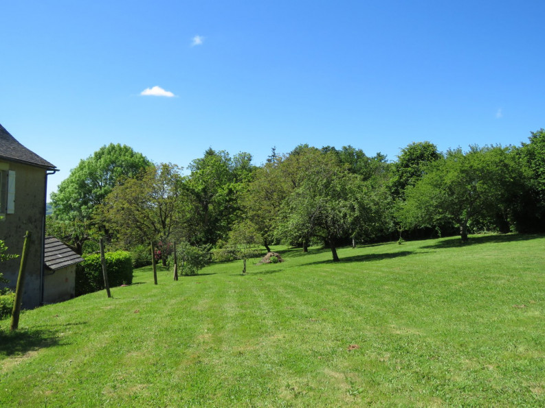 vente Maison Juillac - Photo 7