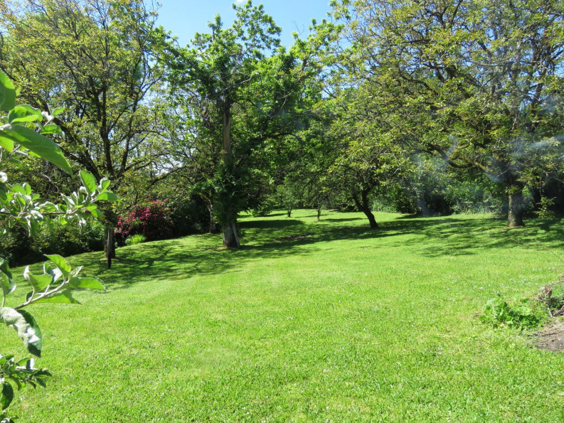 vente Maison Juillac - Photo 13