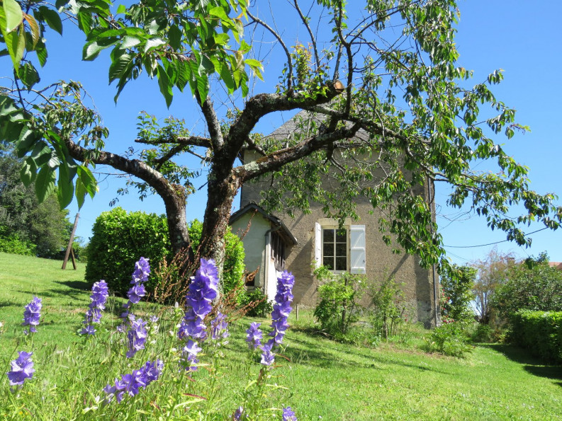 vente Maison Juillac - Photo 2
