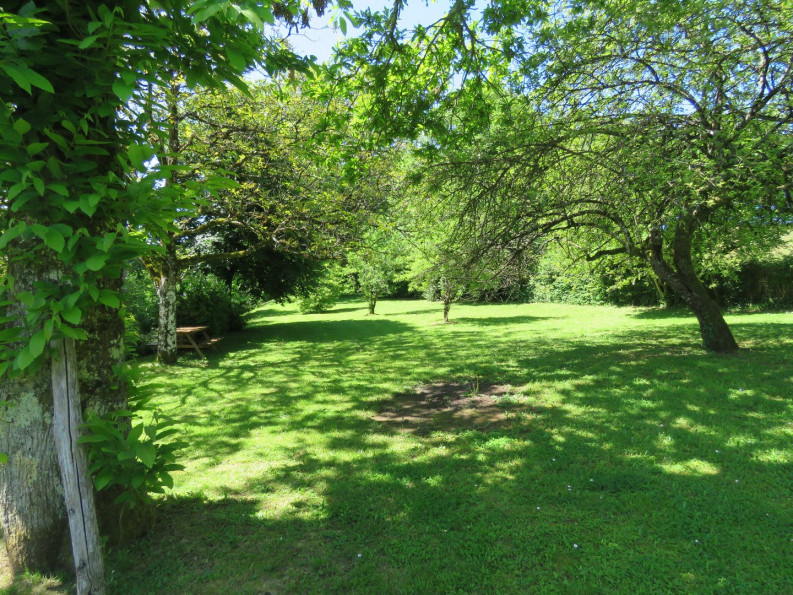 vente Maison Juillac - Photo 15